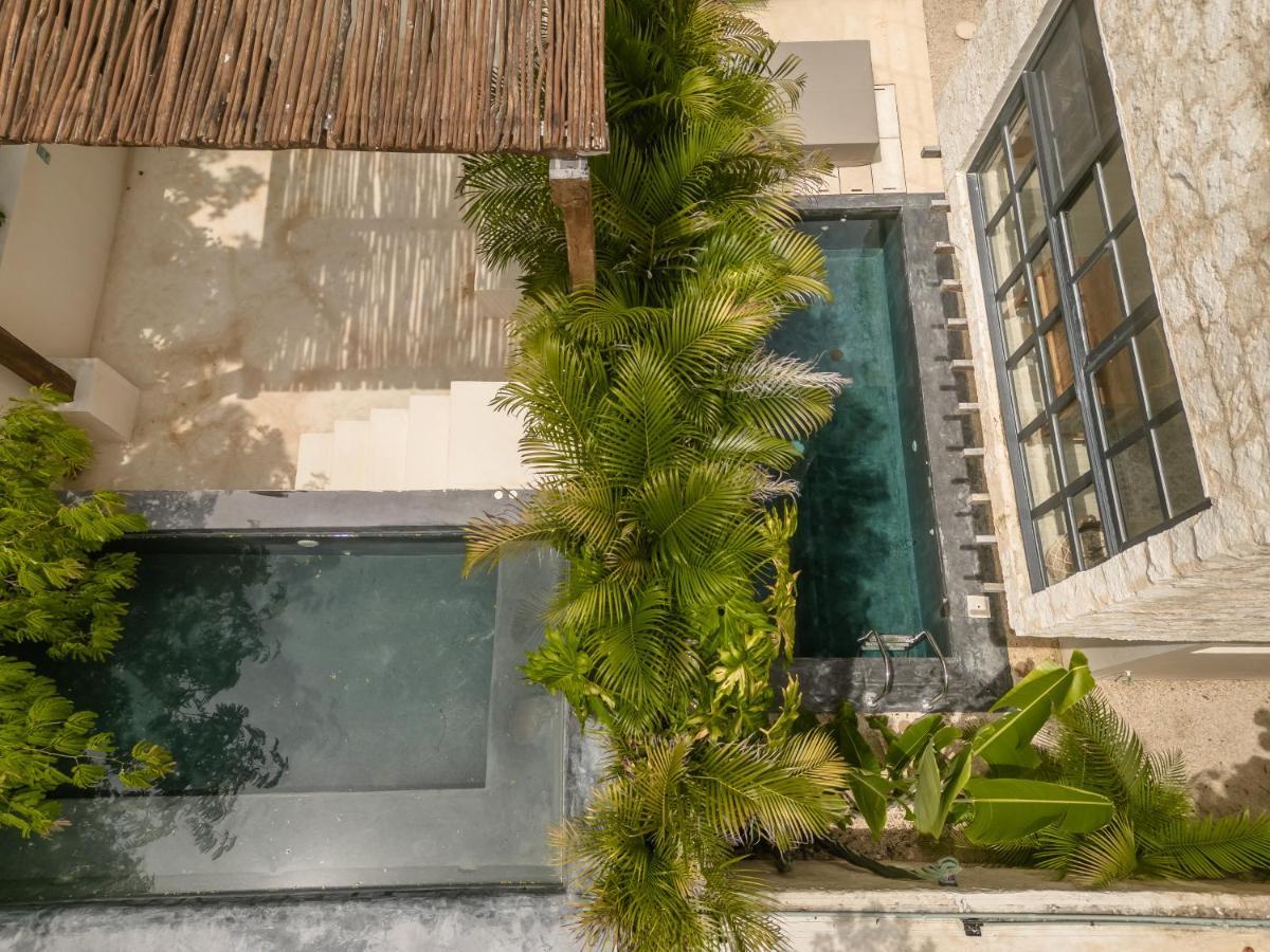 New Aura Jungle Getaway Villa Tulum Luaran gambar